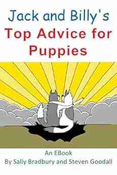 Jack And Billy S Top Advice For Puppies