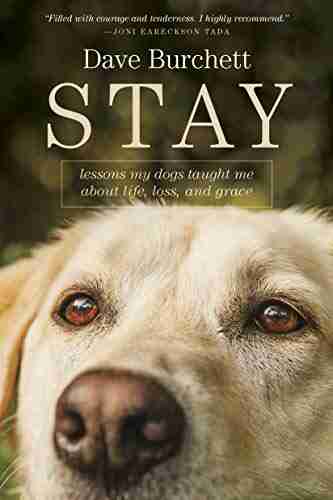 Stay: Lessons My Dogs Taught Me about Life Loss and Grace