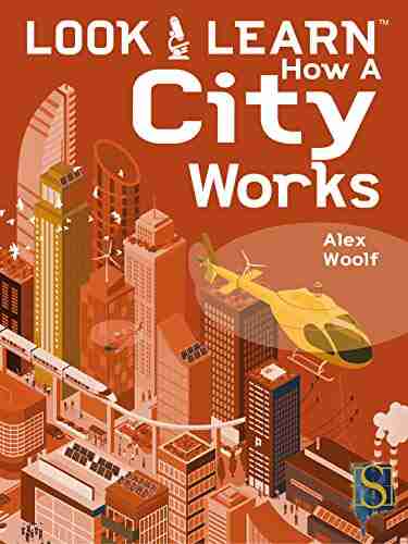 Look Learn How A City Works