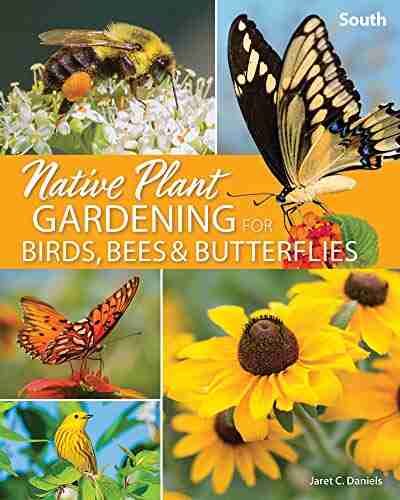 Native Plant Gardening For Birds Bees Butterflies: South (Nature Friendly Gardens)