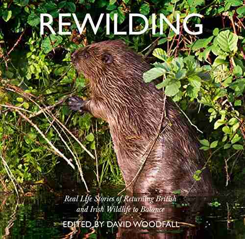 Rewilding: Real Life Stories Of Returning British And Irish Wildlife To Balance