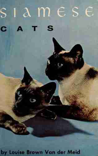 Siamese cats Divina Blackwell Bates