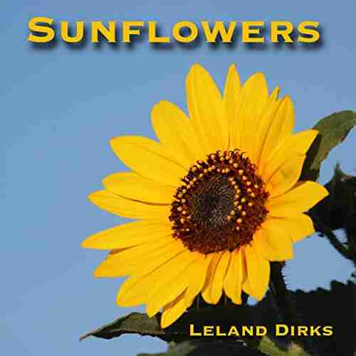 Sunflowers: Photos Facts and Fictions