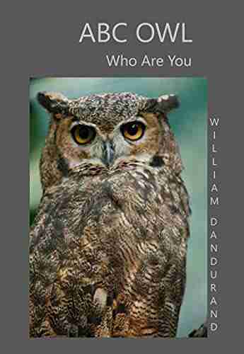 ABC Owl: Who Are You