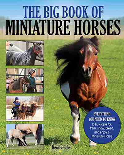 The Big of Miniature Horses: Everything You Need to Know to Buy Care for Train Show Breed and Enjoy a Miniature Horse of Your Own