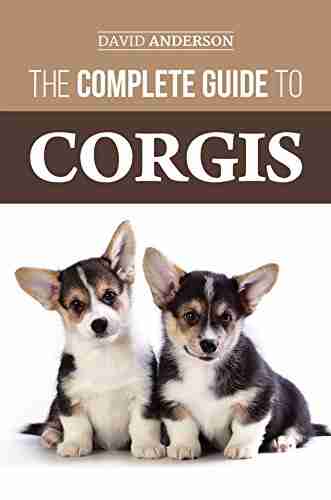 The Complete Guide To Corgis: Everything To Know About Both The Pembroke Welsh And Cardigan Welsh Corgi Dog Breeds