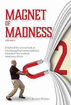 Magnet of Madness: Volume 2 Joric McLean