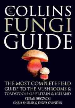 Collins Fungi Guide: The most complete field guide to the mushrooms and toadstools of Britain Ireland