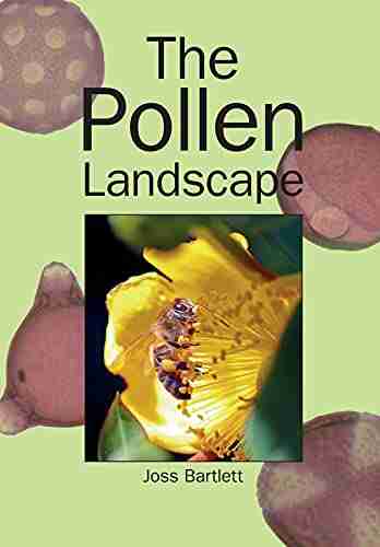 The Pollen Landscape John Rember