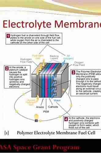 Polymer Electrolyte Fuel Cells: Physical Principles of Materials and Operation