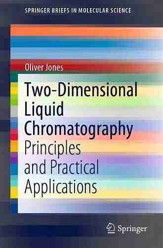 Two Dimensional Liquid Chromatography: Principles And Practical Applications (SpringerBriefs In Molecular Science)