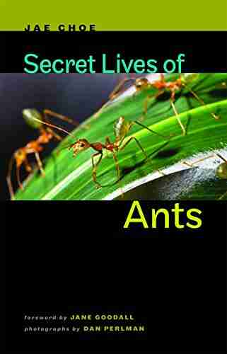 Secret Lives of Ants Robert Zwanzig