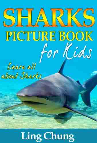 Children s About Sharks: A Kids Picture About Sharks with Photos and Fun Facts