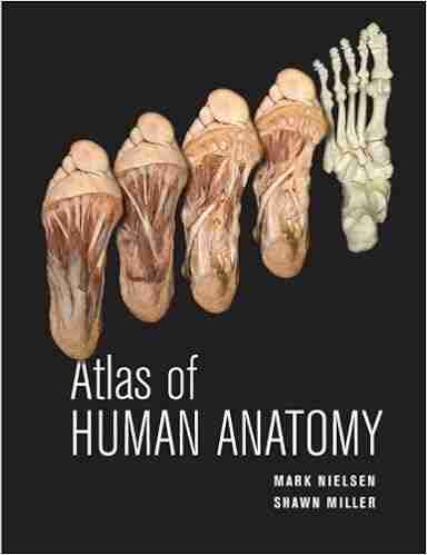 Atlas Of Human Anatomy Mark Nielsen