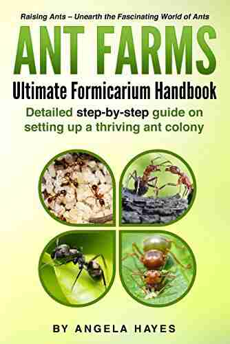 Ant Farms: Ultimate Formicarium Handbook