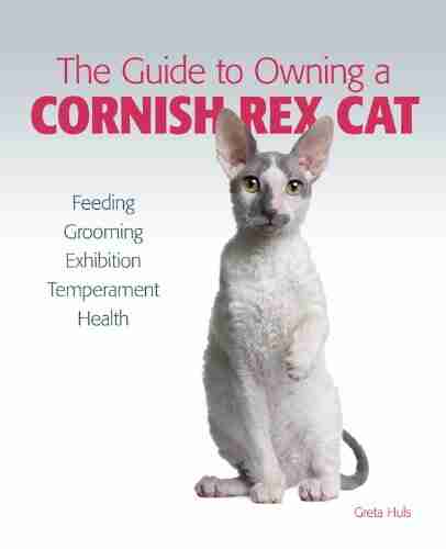 Guide To Owning A Cornish Rex Cat