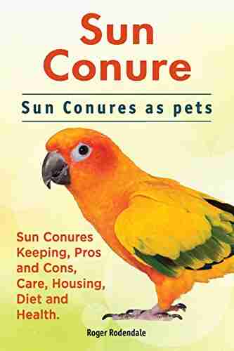 Sun conures Sun Conures keeping pros and cons care housing health and diet Sun Conure Complete Owners Manual