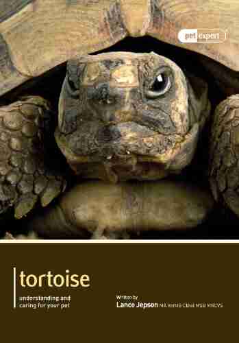 Tortoise (Expert 2) Jennifer Betters Bubon