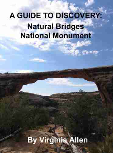 Natural Bridges National Monument Road Guide (A GUIDE TO DISCOVERY 4)