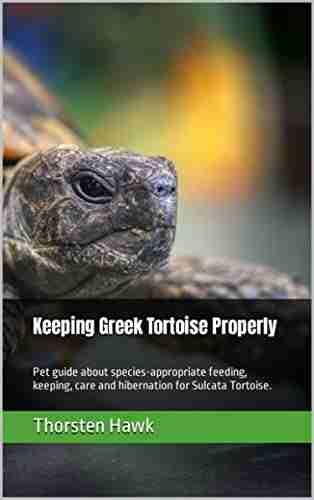 Keeping Greek Tortoise Properly: Pet Guide About Species Appropriate Feeding Keeping Care And Hibernation For Sulcata Tortoise