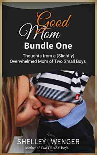 Good Mom Bundle One: Thoughts from a (Slightly) Overwhelmed Mom of Two Small Boys