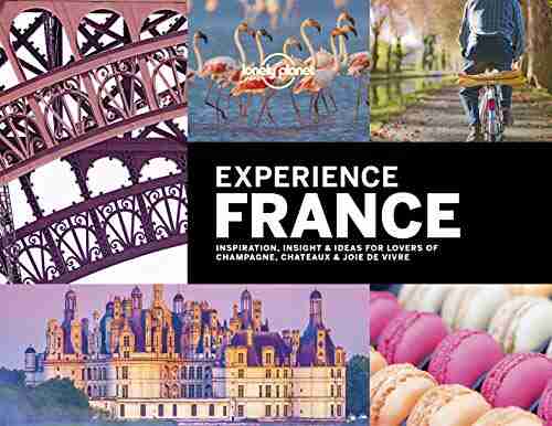 Lonely Planet Experience France (Travel Guide)