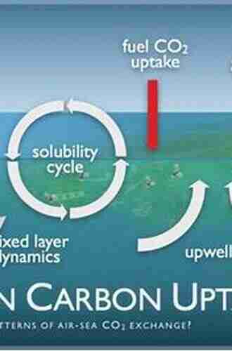 Ocean Dynamics and the Carbon Cycle: Principles and Mechanisms