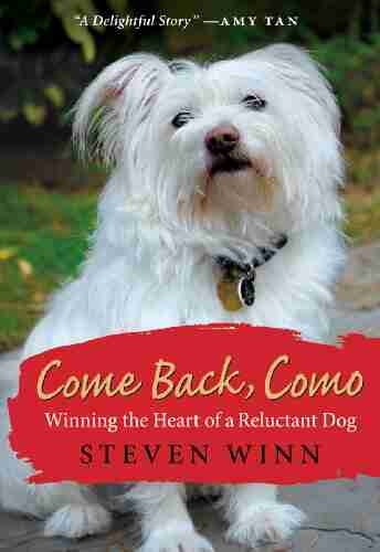 Come Back Como: Winning The Heart Of A Reluctant Dog