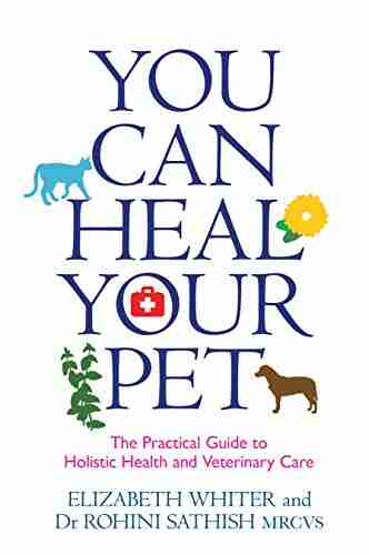 You Can Heal Your Pet: The Practical Guide To Holistic Health And Veterinary Care